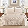 Whale Flotilla 3-Piece Queen Quilt Set, Soft Embossed Bedding Set, Lightweight Bedspread Coverlet with Damask Vintage Pattern, Reversible Bed Cover for All Seasons, Bone