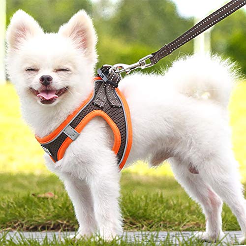 Suredoo Hundegeschirr mit Leine Anti Zug Geschirr Reflektierend Brustgeschirr für Kleine Hunde, Haustiere, Welpen, Katzen (Braun Orange, XS)