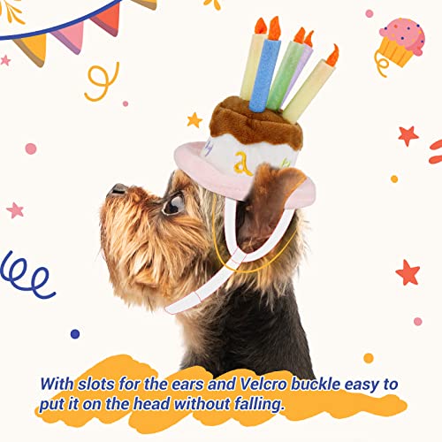 Chapeau d'anniversaire pour chat et petit chien mini coiffe fête - 5
