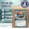 Ocean Air Whole Beans Coffee by Saltwinds Coffee Company (910g) | Dark Roast 100% Arabica Low Acid | Smooth & Full Body Freshly Roasted in the Maritimes | Made in Canada #3