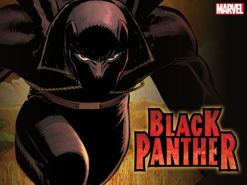 Black Panther: The Animated Series