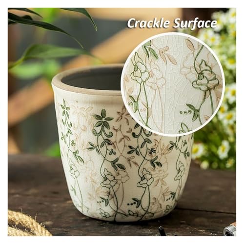 Pots de fleurs céramique vintage succulentes et plantes extérieures décoratives - 3