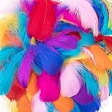 【Ideas de decoración creativa】: Nuestras plumas para manualidades tienen una variedad de colores, las manualidades unisex son perfectas para la decoración y manualidades de otoño, invierno o Navidad. Úselo para manualidades de fiestas, suministros de arte, adornos, adornos, artículos para hacer tarjetas, álbumes de recortes y más.¡Excelente para maestros y estudiantes, juego de roles entre padres e hijos!
