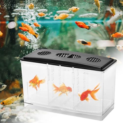 Amexo Sala Parto Acquario, 1,5 L Trasparente Acquario Acquario per Pesci Rossi Scatolaper Incubatrice per Gamberetti Guppy