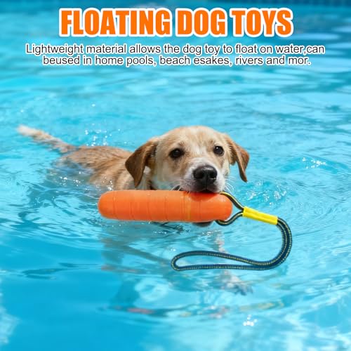 Wasser Interaktives Hundespielzeug, 22 cm Floating Hundespielzeug, Wasserspielzeug für Hunde, Hunde Spielzeug Schwimmend mit Nylon Rope, für Mittelgroße Große Hundes Trainieren Apportieren im Wasser
