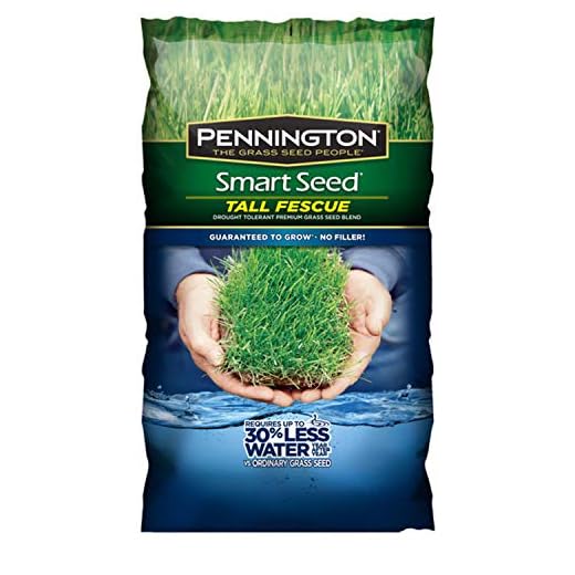 Pennington Smart Seed Smart Tall Fescue Grass Seed, 20 lb
