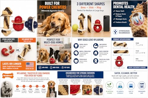 Jouets pour chiens à mâcher Nylabone en caoutchouc haute performance - 7