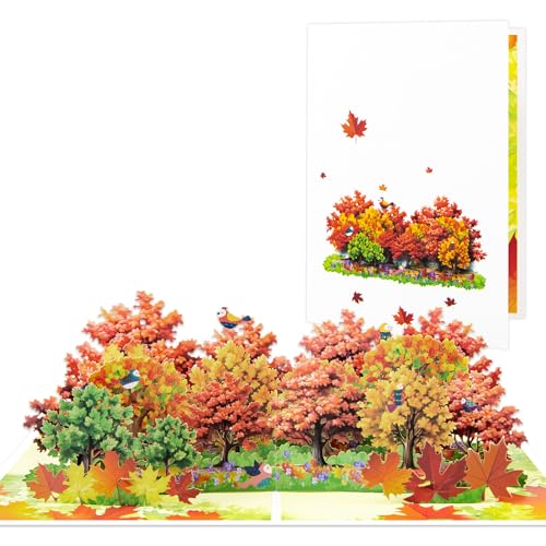 ̖؂̗ [v |bvAbvAt[u[P O[eBOJ[hA󔒂̃m[gJ[hƕt AxAaALOAʂȏuԁAVƁAVAĵɗzIȃMtgł