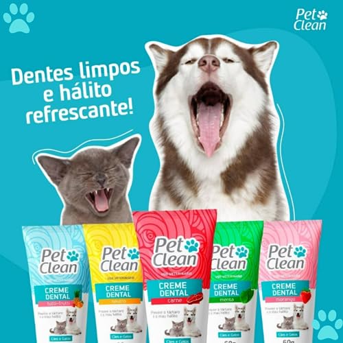 Pasta De Dente Cães Gato Gel Dental Pet Clean Carne 60g