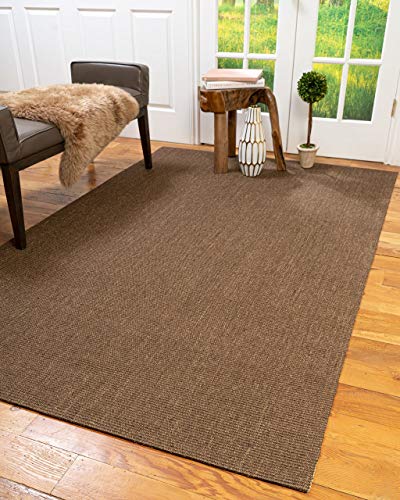 Natural Area Rugs Sisal Runner Rug