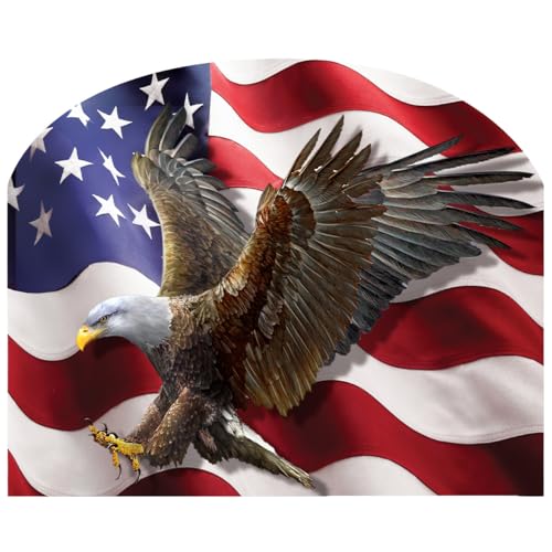 Briarwood Lane American Freedom Eagle Acrylic Art Sign