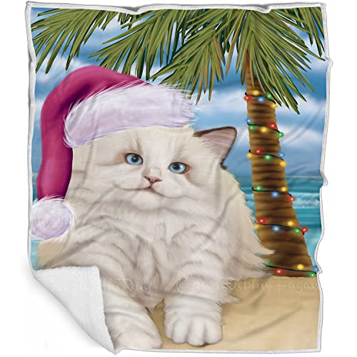 Doggie of the Day Ragdoll Cat Blanket - Christmas Summertime Beach - Super Soft & Warm Pet Theme for Sofa or Bed, Warm Fleece, Sherpa or Woven Material, BLNKT88016 (50x60 Woven)