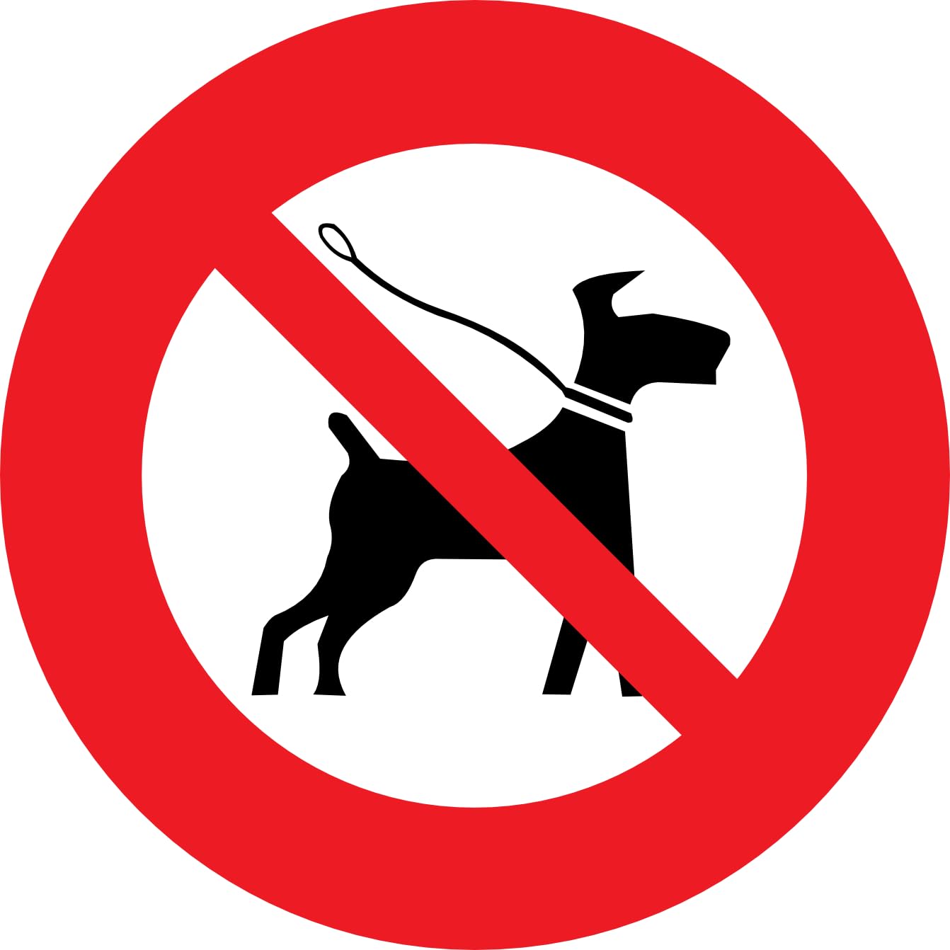 Sticker interdiction chiens pour stopper les incivilités dans la cour - 7
