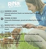 Superfood Hundekuchen Riegelbox 10× Super Sardine – Brokkoli, Spirulina, Kokosöl & Bierhefe – Proteinreich, glutenfrei & ofengebacken – Für Fell, Haut & Immunsystem – RiNa leckerer Hundekuchen