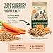 Hatortempt Dried Mealworms - High Protein Chicken Feed Supplement - Mealworms for Wild Birds & Chickens & Turtles (2lb Bag)
