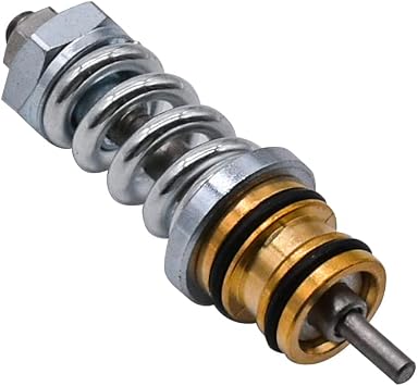 310924003 Unloader Valve kit Fit for Coleman Features for Homelite for Himore Pump Ridgid Ryobi Black Max for Simpson High Pressure Washer Pumps