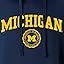 Michigan Wolverines - Navy