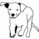 ~The beautiful dogs of the world