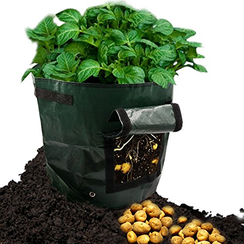 Amerzam 2-Pack 10 Gallon Grow Bags /Aeration Fabric Pots/Potato Planter Bags with Handles for Grow Vegetables: Potato, Carrot & Onion