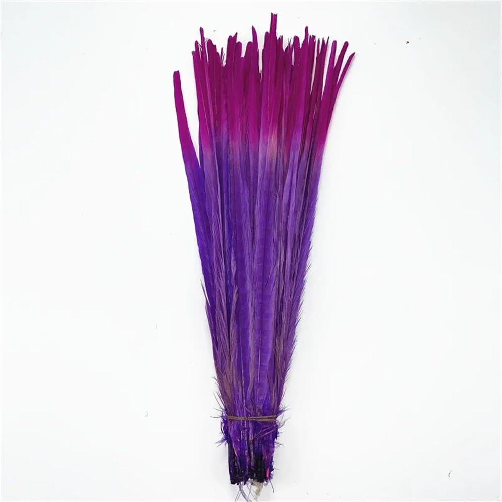 Natural Pheasant Feathers, Natural Ringneck Pheasant Craft Feathers, Pack of 100, Multicolor, 40-45 Centimeters