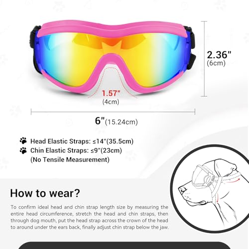Lunettes de protection pour chien souffrant de sensibilité oculaire au soleil