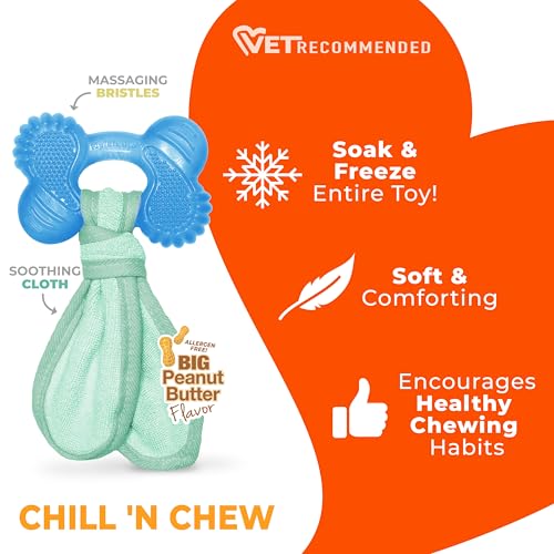 Nylabone Teething Puppy Chill'n Chew Peanut Butter Chew Toy for Dogs and Puppies