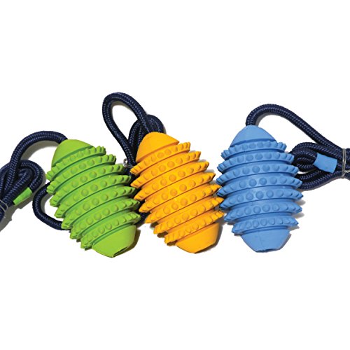Rosewood Pet Products - Pelota de Rugby para Perro, tamaño Mediano, 12 cm