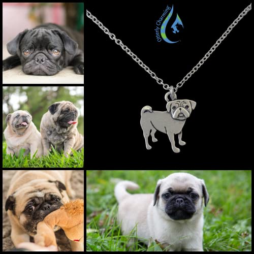Pug Necklace On Stainless Steel Chain - Mixed Pup Breed Jewelry - Dog Mom Gift #TOP2