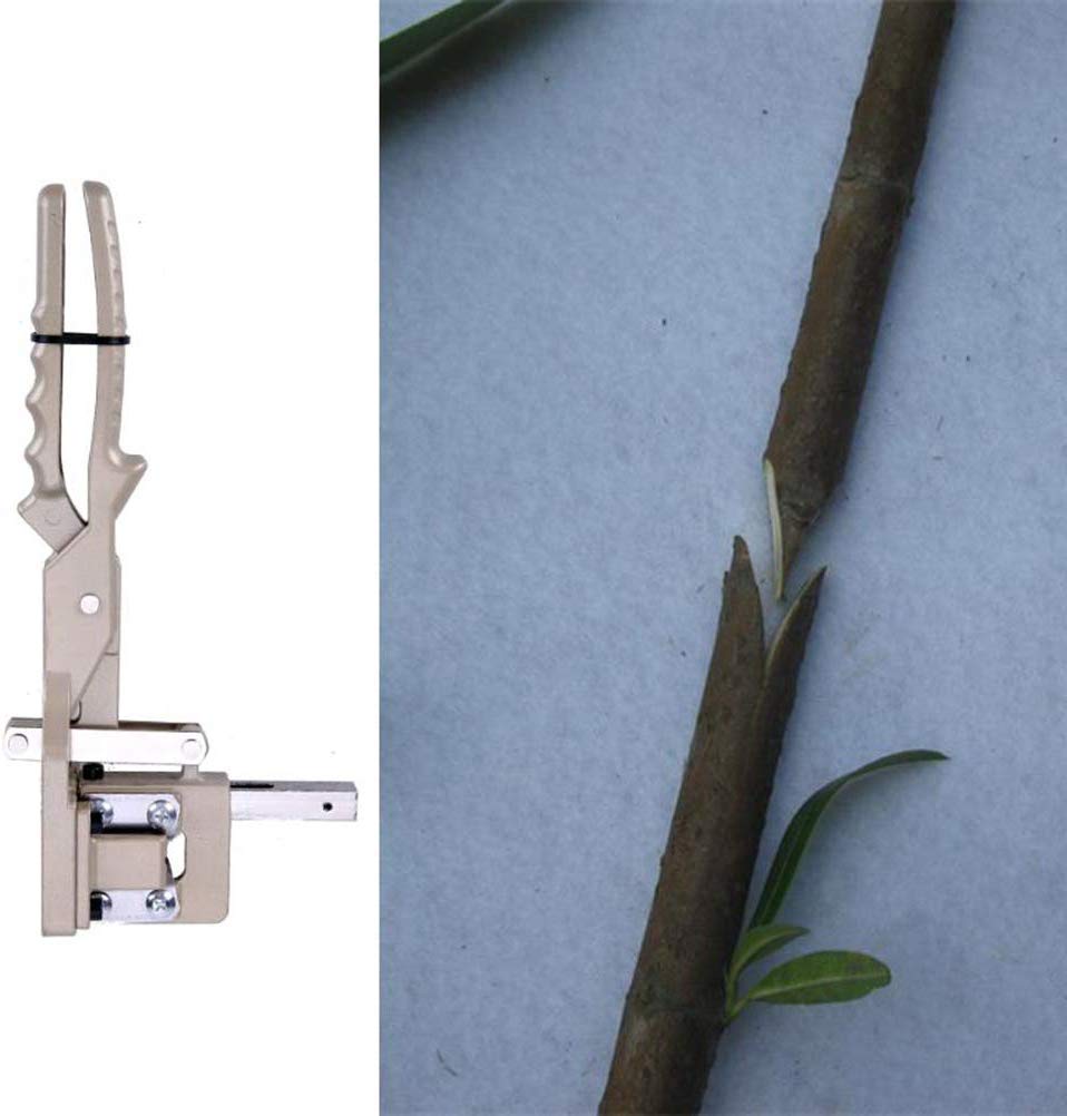 Großes Pfropfwerkzeug für Obstbäume und Reben im Garten, Pflanzenschere, scharfe V-Klinge, Schnitt 5–20 mm Durchmesser, Wurzelstock, Spross