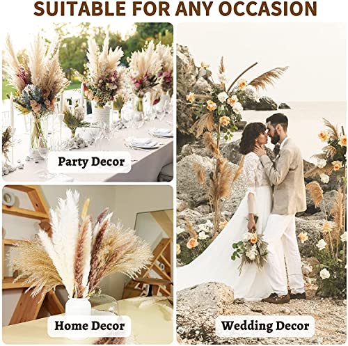 Pampas Grass Large 80 Pcs Dried Pampas Grass Decor Flores miniatura 6