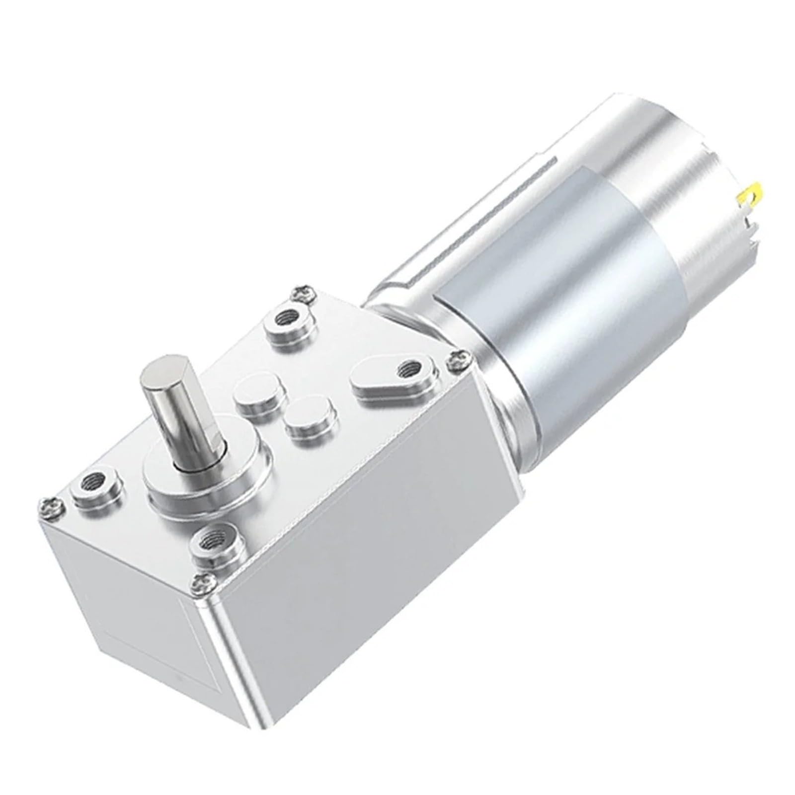 5840 555 Schneckengetriebe-Gleichstrommotor, 12 V/24 V, Selbsthemmend