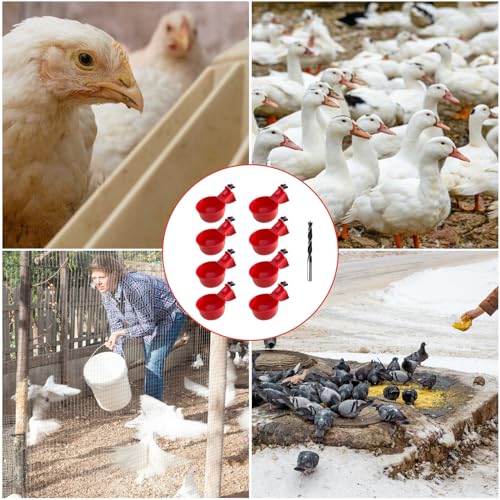 Abbeveratoio Automatico per Galline - 8 Pezzi in Plastica, per Polli, Uccelli, Piccioni, Polli, Anatre (Rosso) - immagine 8