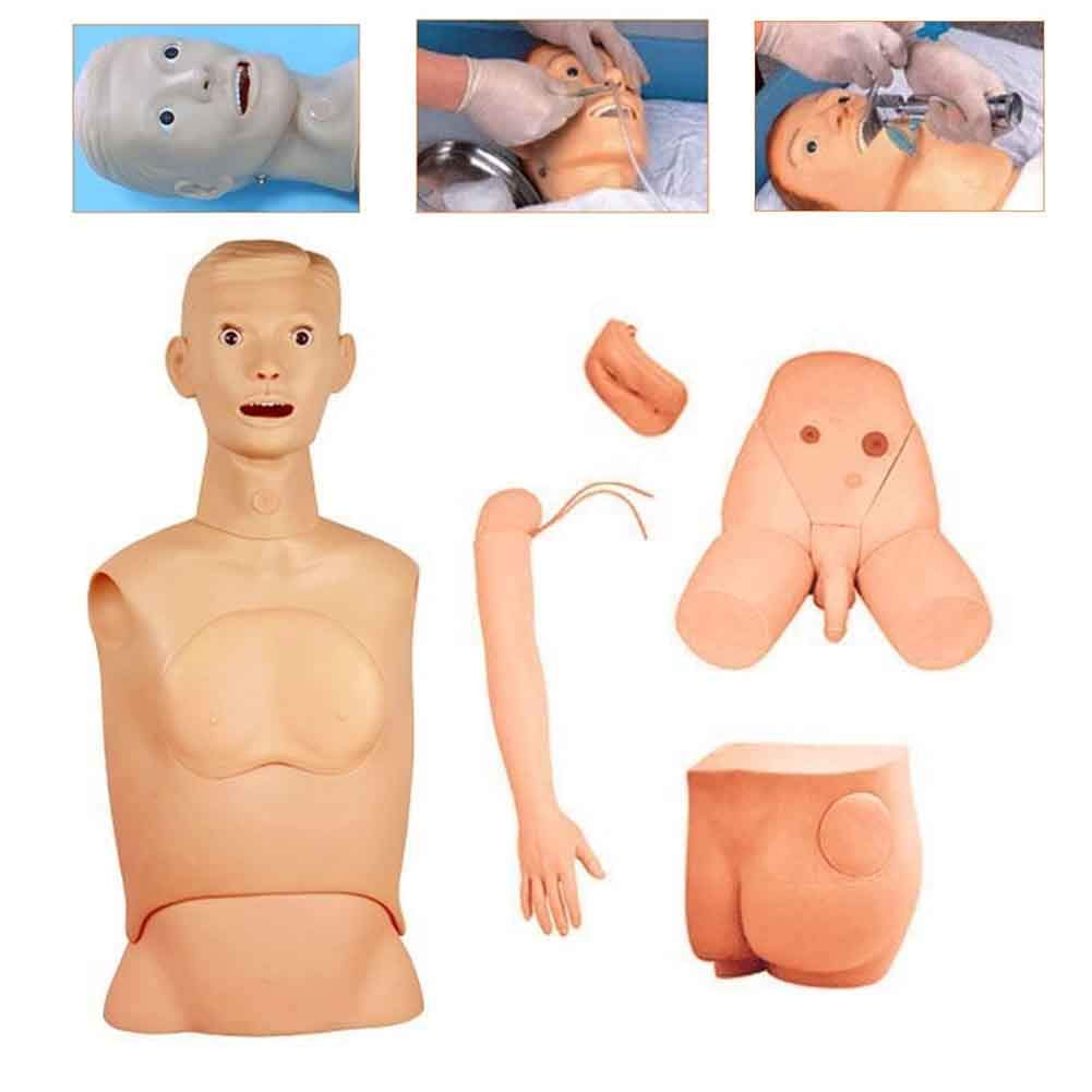 5-teiliges Trainingsmodell, multifunktionales Pflegemodell, menschliches anatomisches Modell, Patientenaufklärung für Schule und Bildung