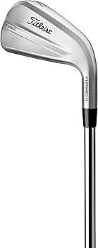 Amazon.co.jp: タイトリストアイアン 25 T350 4G RH NS880AMC S 6-W48