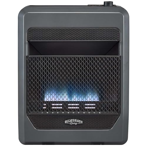 Bluegrass Living Propane Gas Vent Free Blue Flame...