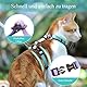 Katzengeschirr mit Leine Set [4-in-1] – Ausbruchsicher & verstellbar – Leichtes Katzenharnisch mit Autogurt – Für kleine, mittelgroße & große Katzen (M)