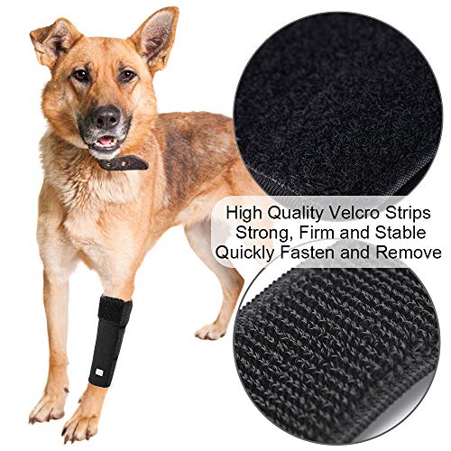 in hand dog leg brace