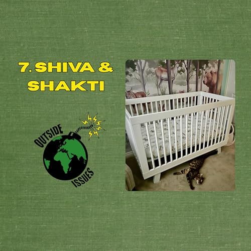 『Shiva & Shakti』のカバーアート