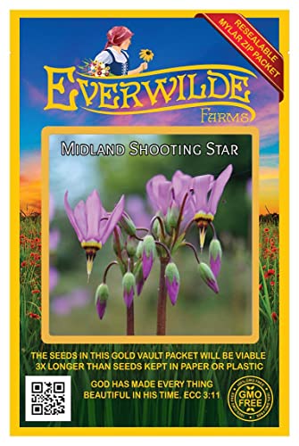 Everwilde Farms Midland Shooting Star Seeds
