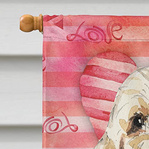 Drapeau Spinone Italiano grand format multicolore Caroline's Treasures
