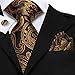 Hi-Tie Paisley Black Gold 70 inches Ties for Men Extra Long Tie and Lapel Pin Pocket Square Cufflinks Sets Formal Business Wedding