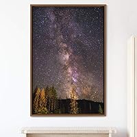 Framed Canvas Starry Night Astronomy & Space Dark Dramatic Modern Photography Stars - 16x24 inches