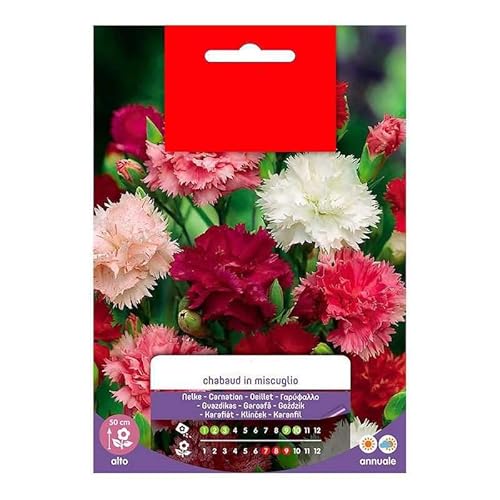 Sobre de Semillas de Clavelina Mix Color Clavel de Florista