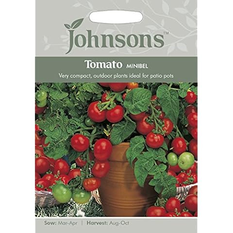 Johnsons Tomato Minibel Vegetable Seeds for Pots Cover