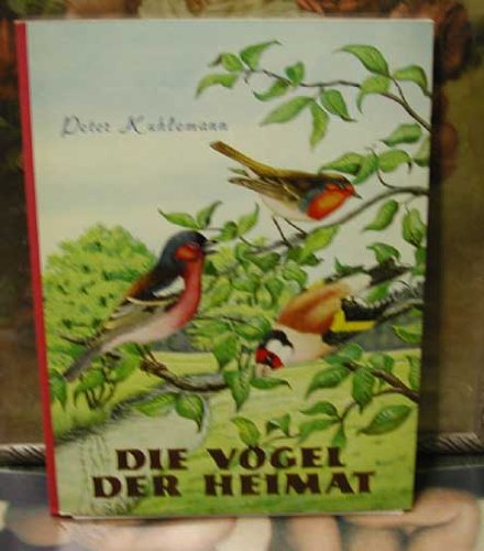 PETER KUHLMANN Die Vögel der Heimat Amazon.de Bücher