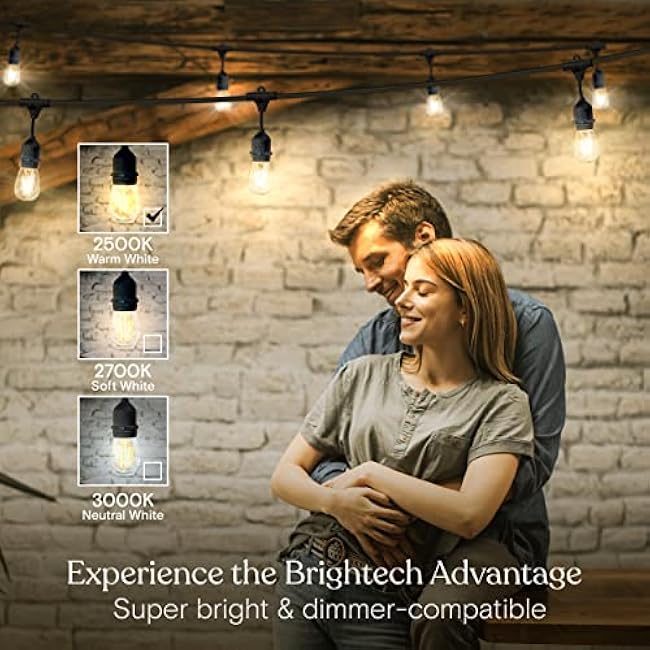 Brightech Ambience Pro - Waterproof LED Outdoor String Lights - 7 Hanging, Dimmable 2W Vintage Edison Bulbs - 24 Ft Commercial Grade Patio Lights Create Cafe Ambience in Your Backyard