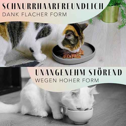 ne&no Futternapf für Katzen [nala Collection] - Flache Futterschale | Breiter Silikonnapf | Fressnapf | Silikon Napf | Katzenfutter Teller