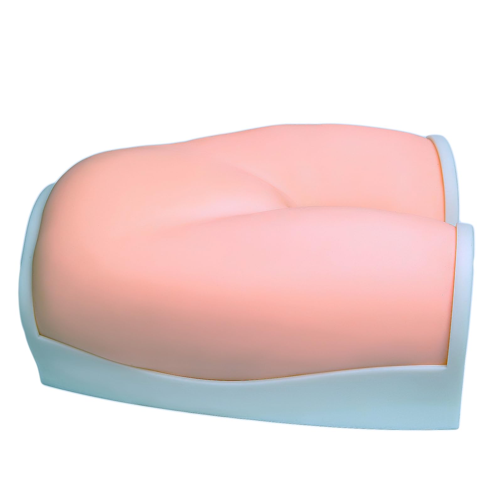 Ultrasound Maternity Model Clearly Demonstrates Bladder Uterus Amniotic Fluid and Fetal Structures Under Ultrasound Guidance Early Pregnancy Can