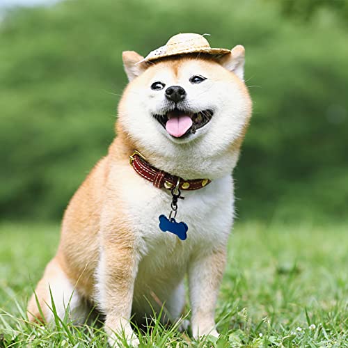 Dorui Dog Tag Clips 2 Pack Easy Change For Pet Id Tag Quick Clips Small Medium Large Dogs And Cats Collars|Black| #TOP4