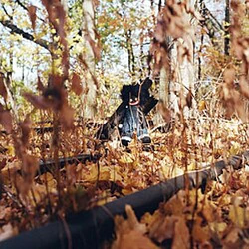 Golliwog--billy woods | The Story Behind the Album Cover Art